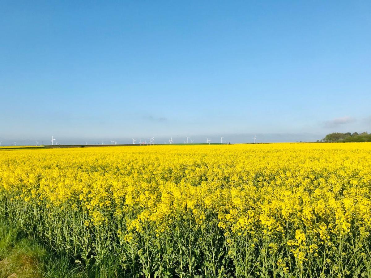 Domki I Apartamenty Caloroczne Koliber Władysławowo المظهر الخارجي الصورة