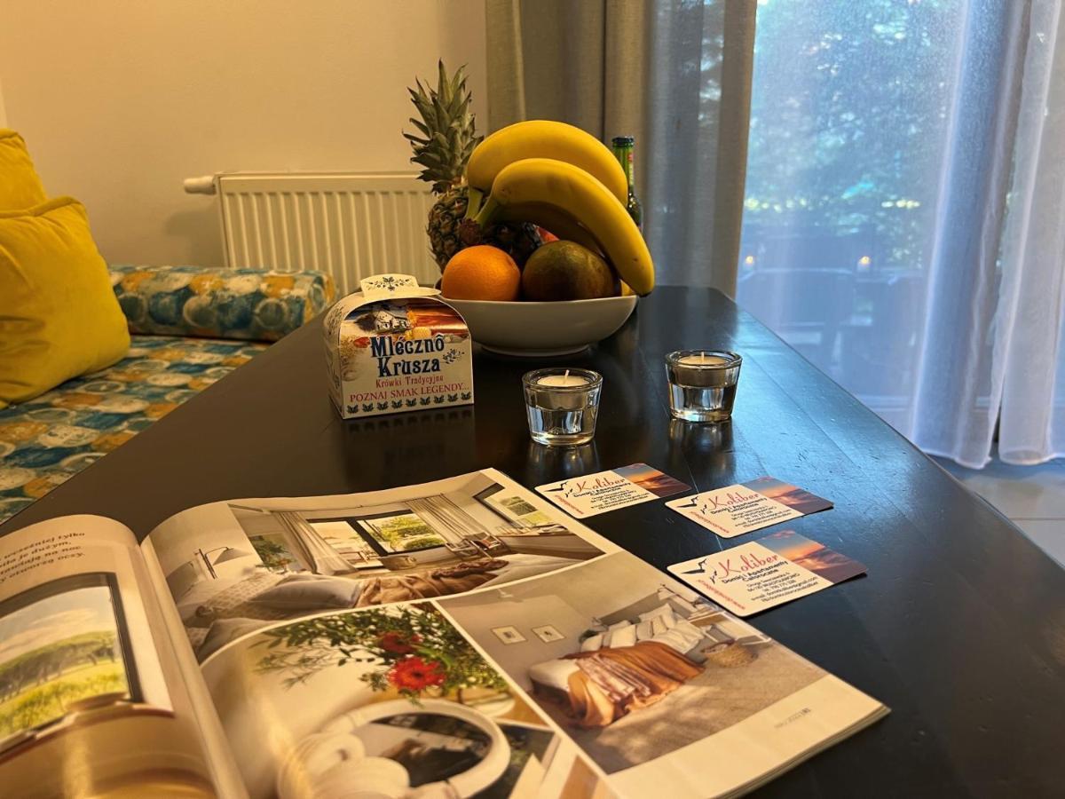 Domki I Apartamenty Caloroczne Koliber Władysławowo المظهر الخارجي الصورة